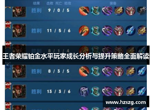 王者荣耀铂金水平玩家成长分析与提升策略全面解读